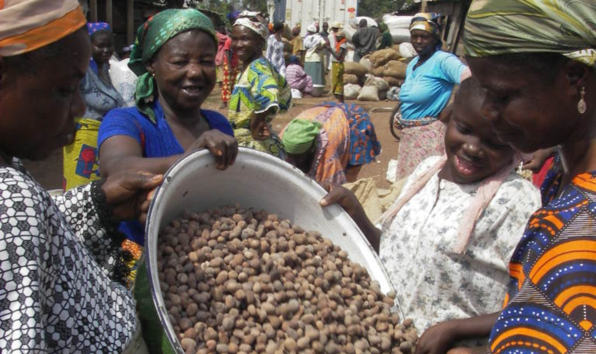 The many benefits of Shea Butter for Hair